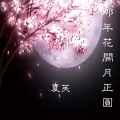 夏芙 - 头文字T