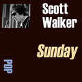 Scott Walker - What Do You Say
