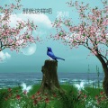 李林平、汤川 - 有份无缘