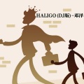 邓泽 - HALIGO (DJ版)