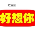 红豆豆 - 好想你