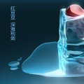 红豆豆 - 深海利剑