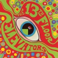 13th Floor Elevators - Roller Coaster