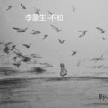 李蒙生 - 不如