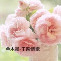 金木晨 - 千遍情歌