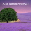金木晨 - 深情款款打动你的内心