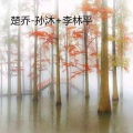 孙沐、李林平 - 楚乔