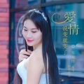 张龙珍 - 爱情说变就变了