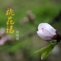 林薇薇 - 桃花诺