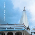 闻颜彤 - 爱上一匹野马