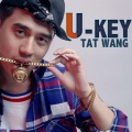 Tat Wang - U盘