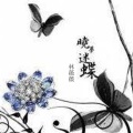 林薇薇 - 晓梦迷蝶