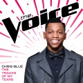 Chris Blue - The Tracks of My Tears (Live)