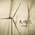 林薇薇 - 失魂记