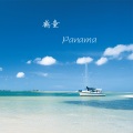鹤童 - Panama