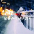 翁暮卉 - 停顿的快乐