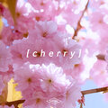MK - 최 하 늘 (C H E R R Y)
