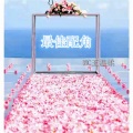 MC王温柔 - 当我踏入这片孤岛