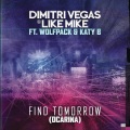 Find Tomorrow (Ocarina|Radio Edit)