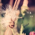 左凡 - 独处的时候