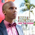 Matt Palmer - Goodbye