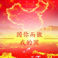 高树 - 因你而傲我的国