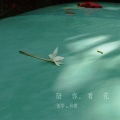 伍华、孙莞 - 陪你看花
