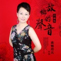 真情玲儿 - 啊美丽中国