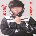 MC盛小周 - 大话西游
