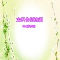 诗子明 - 宝贝你别流泪