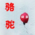 骆驼