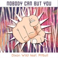 Nobody Can but You (BigBeatRadioEdit)