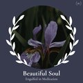 justin smith - Soft Mellodious Beats