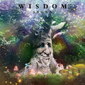 Asonn - Wisdom