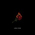 Tomas N'evergreen - Lonely Rose