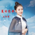 王欣果 - 夏日恋歌