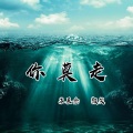颜笑、苏辰念 - 你莫走