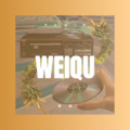 唐倪 - 委屈 (DJ版)