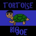 Tortoise (Explicit)