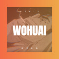 关嘉美 - 爱情回来了 (DJ版)