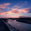 穆梓 - sonder