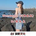 Wonderful U (弹鼓版)