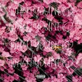 Antidote、TrinkX、Do or Die - What You Need (Explicit)