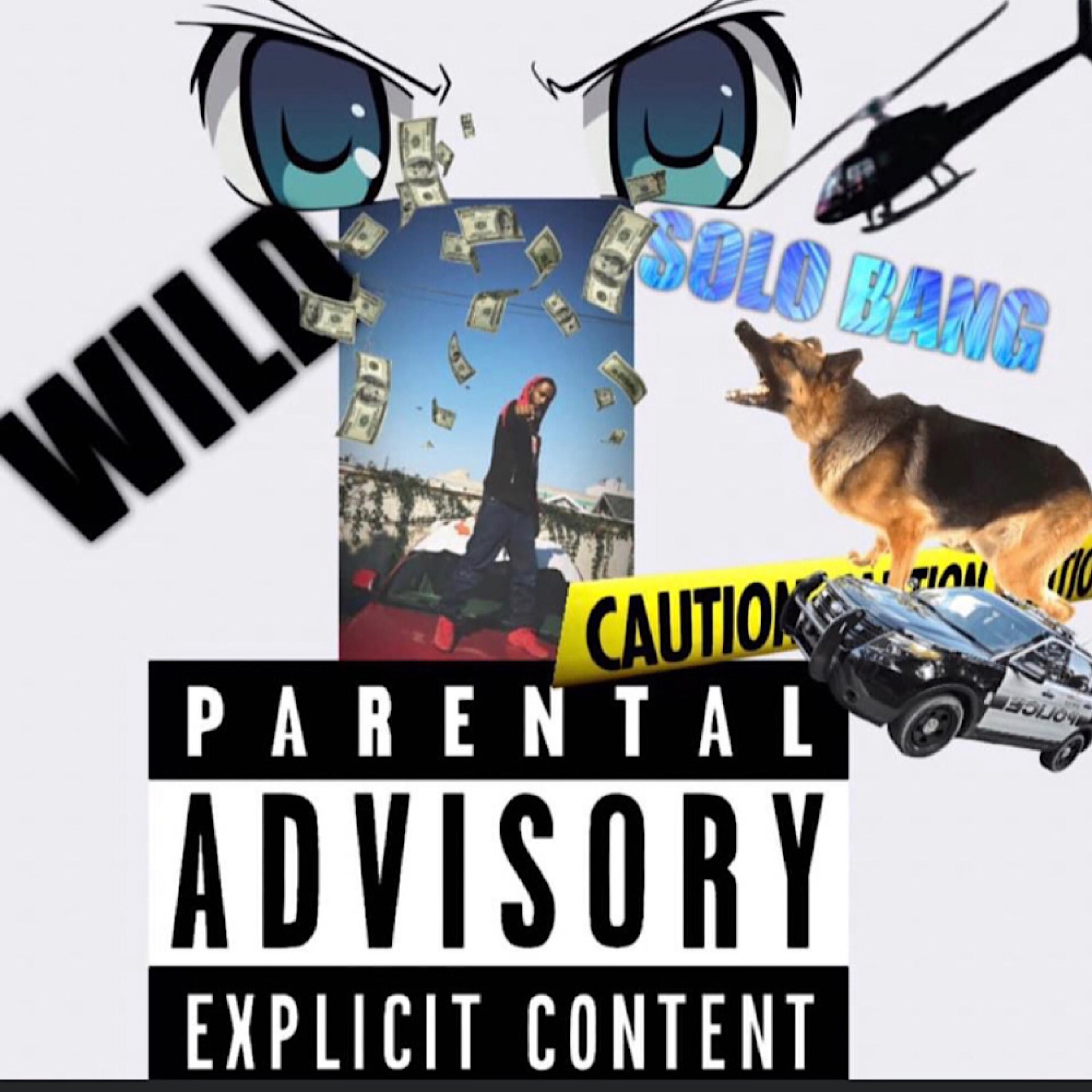 Solo Bang - Wild (Explicit)