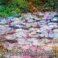 Spiritual Fitness Music - Restoring the Sanity