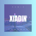 戚敦 - 孔雀东南飞 (Remix)