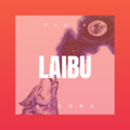 孙含 - 一壶老酒 (弹跳版)