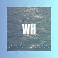 黄乐 - 独宠