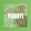 丰治 - 遗失的美好