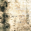 Michael Gray - Sebastian Jingle